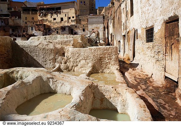 Nordafrika Fès Fez Altstadt UNESCO-Welterbe Fes Marokko Gerberei