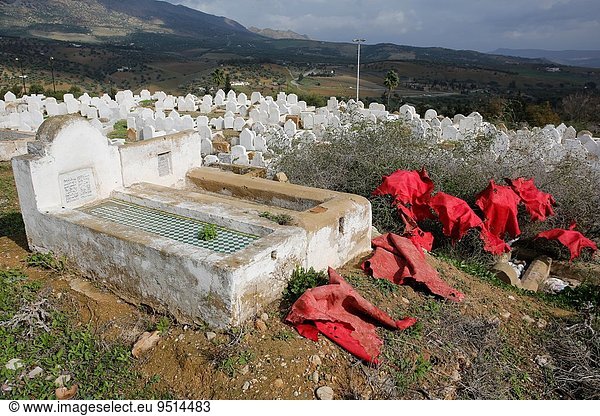 Nordafrika Fès Fez Großstadt Friedhof getrocknet Fes Marokko Sonne