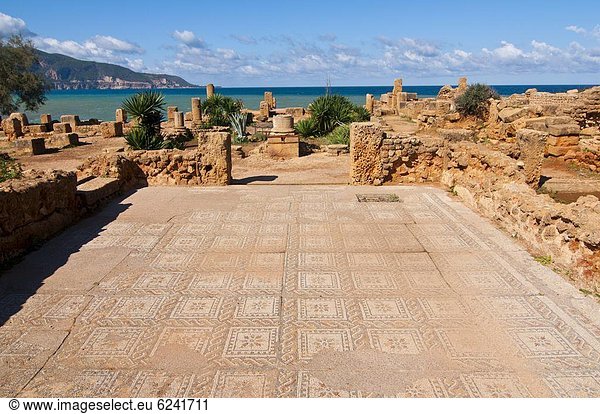 Nordafrika  Ruine  UNESCO-Welterbe  Afrika  Algerien  römisch