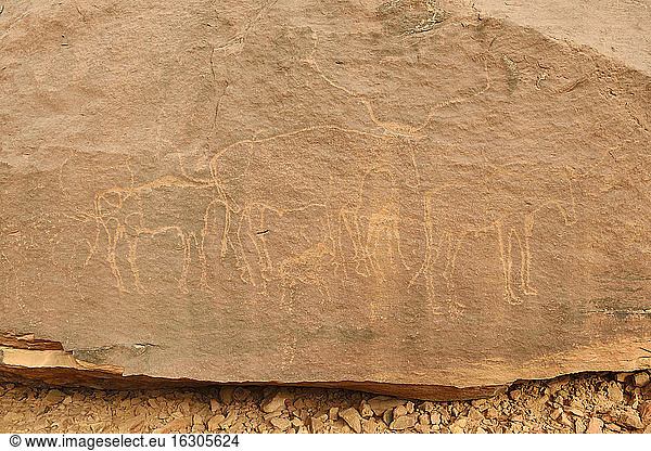 Nordafrika  Sahara  Algerien  Nationalpark Tassili N'Ajjer  Region Tadrart  neolithische Felskunst  Felsgravur eines Stiers