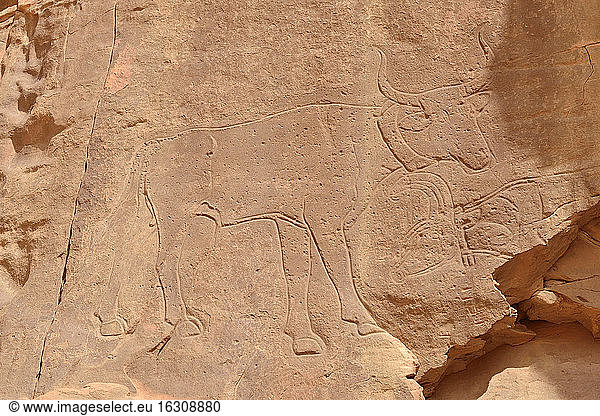 Nordafrika  Sahara  Algerien  Nationalpark Tassili N'Ajjer  Region Tadrart  neolithische Felskunst  Felsgravur eines Stiers