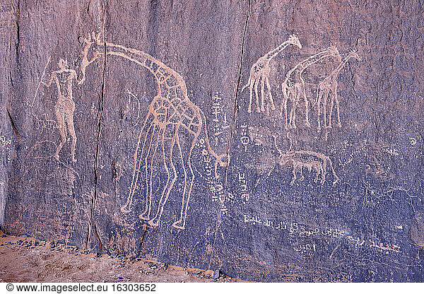 Nordafrika  Sahara  Algerien  Tassili N'Ajjer National Park  Tadrart  neolithische Felskunst  Felsgravur einer Giraffe