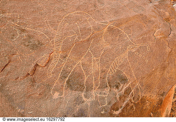 Nordafrika  Sahara  Algerien  Tassili N'Ajjer National Park  Tadrart  neolithische Felskunst  Felsgravur eines Elefanten