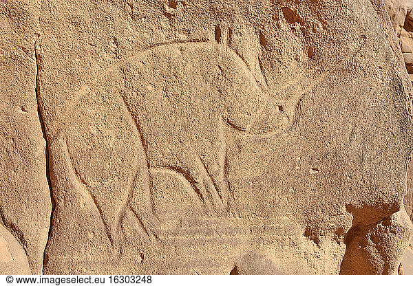 Nordafrika  Sahara  Algerien  Tassili N'Ajjer National Park  Tadrart  neolithische Felskunst  Felsgravur eines Nashorns