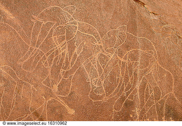 Nordafrika  Sahara  Algerien  Tassili N'Ajjer National Park  Tadrart  neolithische Felskunst  Felsgravur von Elefanten