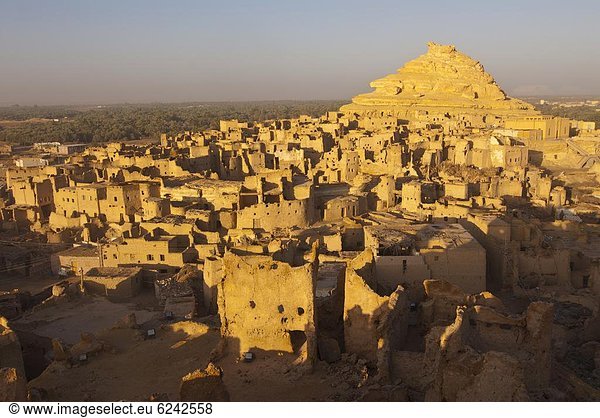 Nordafrika  Stadt  Ruine  Afrika  Ägypten  alt