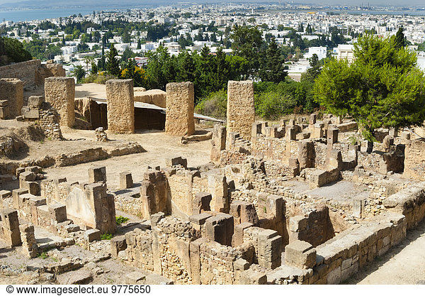 Nordafrika Tunis Hauptstadt UNESCO-Welterbe Afrika Karthago Tunesien