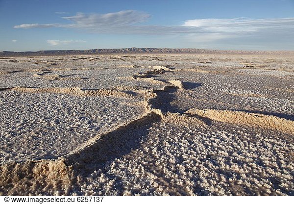 Nordafrika  zwischen  inmitten  mitten  trocken  See  flach  Afrika  Speisesalz  Salz  Tozeur  Tunesien