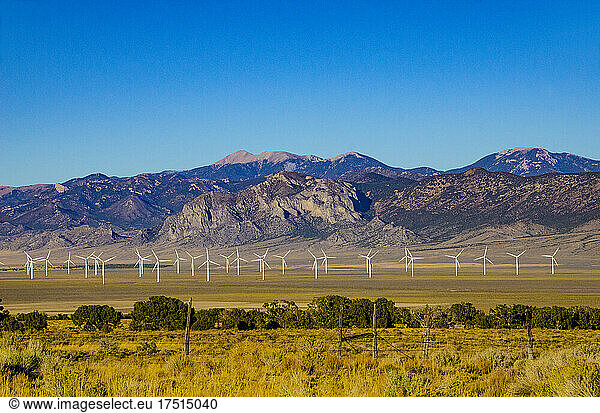 Nordamerika  USA  Nevada  Major's Place  Windpark