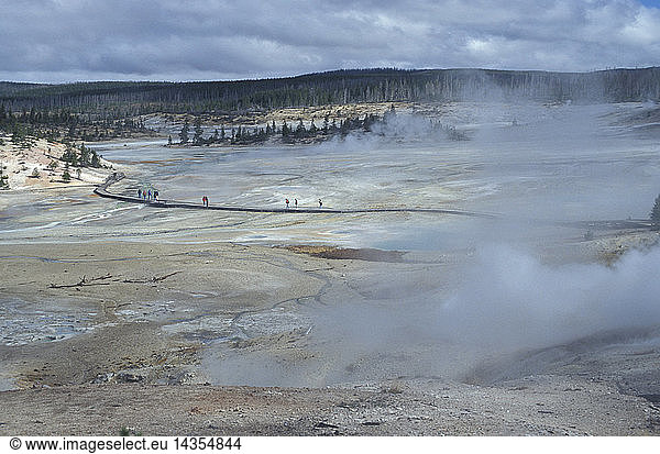 Norris geyser basin loops  Yellowstone National Park  United States of America  America