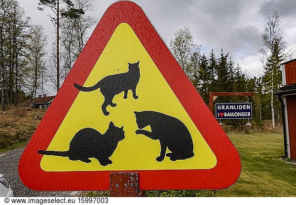 Norrkoping  Sweden Cat crossing sign on a country road.