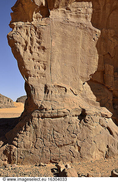 North Africa  Sahara  Algeria  Tassili N'Ajjer National Park  Tadrart  neolithic rock art  rock engraving of a cow
