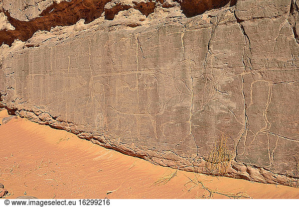 North Africa  Sahara  Algeria  Tassili N'Ajjer National Park  Tadrart  neolithic rock art  rock engraving of cows and bulls