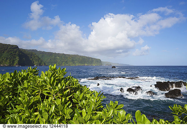 North shore of Maui viewed from Keanae Peninsula  Keanae  Maui  Hawaii  United States of America