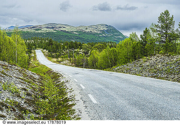 Norway  Innlandet  Empty asphalt road in Rondane National Park