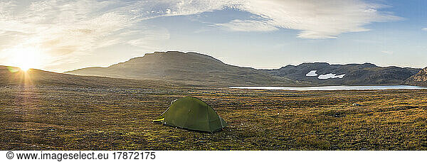 Norway  Lone tent pitched on plateau in Hardangervidda National Park at sunrise