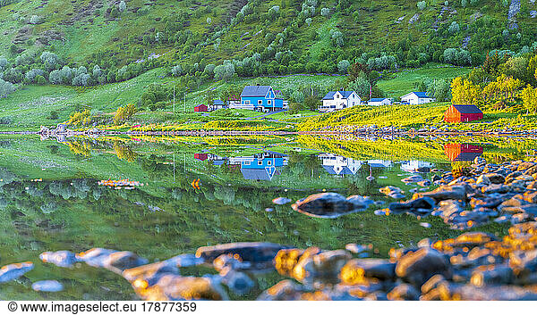 Norway  Nordland  Coastline of Vestvagoya island with secluded houses in background