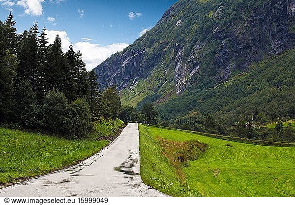 Norway road green meadow landscapes beauty in nature.