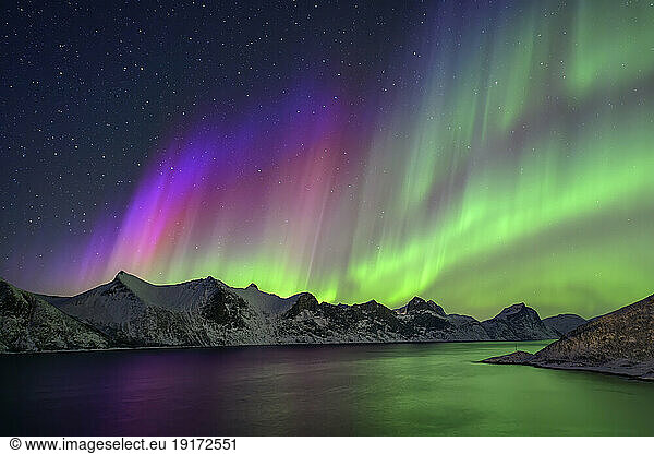 Norway  Troms og Finnmark  Green and purple northern lights over Mefjord