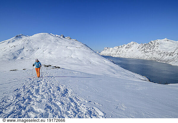 Norway  Troms og Finnmark  Lone female hiker at Nattmalsfjellet