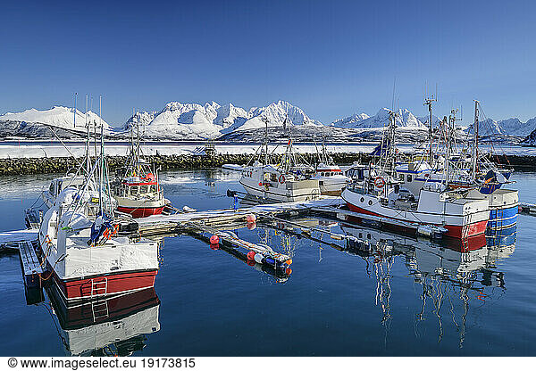 Norway  Troms og Finnmark  Oldervik  Marina in secluded fishing village