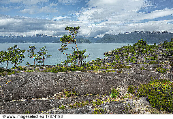 Norway  Vestland  View of Hardangerfjord with mountains in background