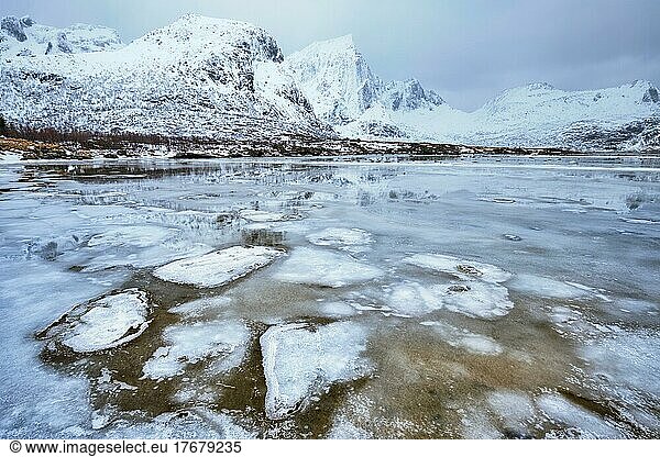 Norwegian fjord in winter. Lofoten islands  Norway  Europe