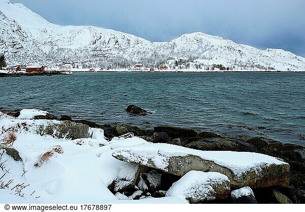 Norwegian fjord with traditional red rorbu houses on fjord shore in snow in winter. Lofoten islands  Norway  Europe