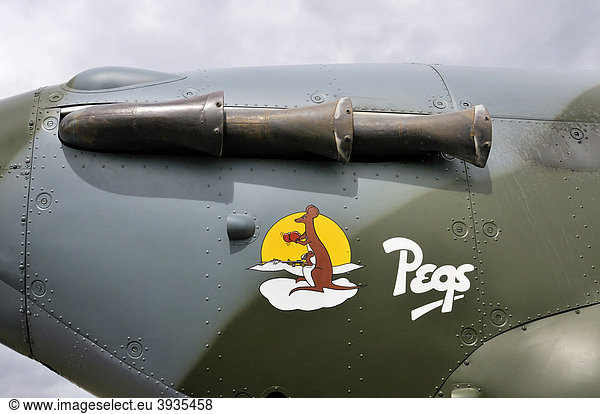 Nose art  exhaust pipe of a British Hawker Hurricane fighter aircraft  Europe's largest meeting of vintage planes at Hahnweide  Kirchheim-Teck  Baden-Wuerttemberg  Germany  Europe