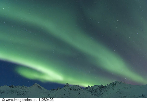 Nothern Lights with Mountains in Tromso  Troms  Norway