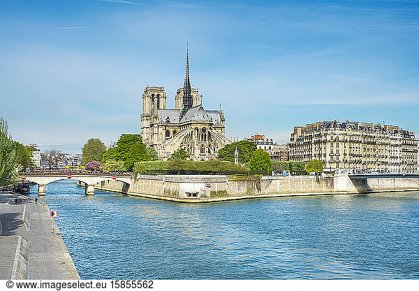 Notre Dame Cathedral on the banks of the Seine River  Paris  France