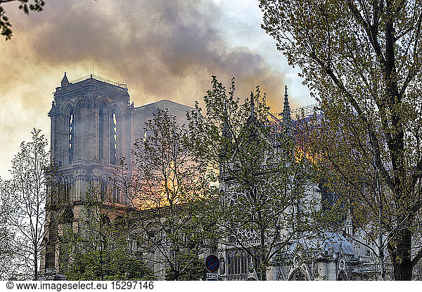 Notre-Dame de Paris fire  Paris  Ile-de-France  France