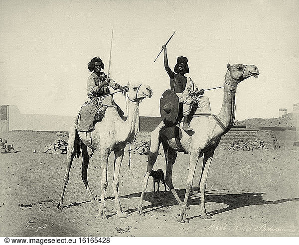 Nubian warriors on dromedars