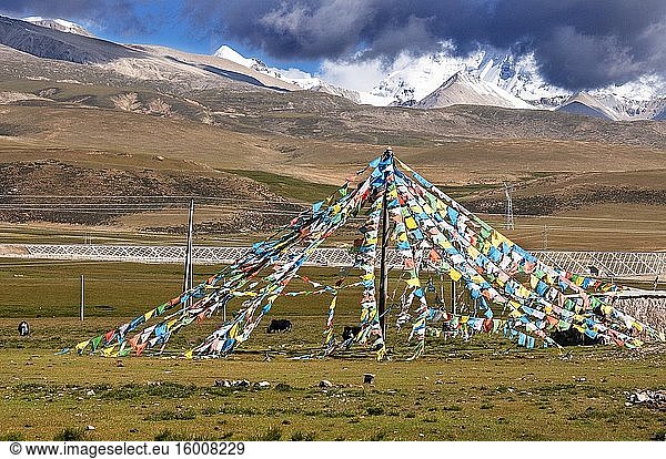 Nyenchen-Tonglha-Pass. Gebetsfahnen am Fuß des 7111 Meter hohen Nyenchen Tanglha  Tibet China. Einer der heiligen Berge für die Tibeter. Der Nyenchen Tanglha ist der höchste Gipfel des Nyainqentanglha-Bergs. Er befindet sich in der Nähe von Lhasa  an der asphaltierten Straße zwischen Qinghai und Tibet. Er ist von grasbewachsenen Ebenen umgeben  die sich von Damshung im Süden bis zum malerischen heiligen Nam-Tso-See (4.700 m  einer der größten Seen der Welt) im Norden erstrecken.