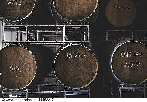 Oak wine barrels in a winery.