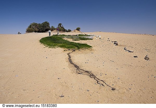 Oase Ain Khadra bei Nationalpark Weisse Wueste  Libysche Wueste  Aegypten