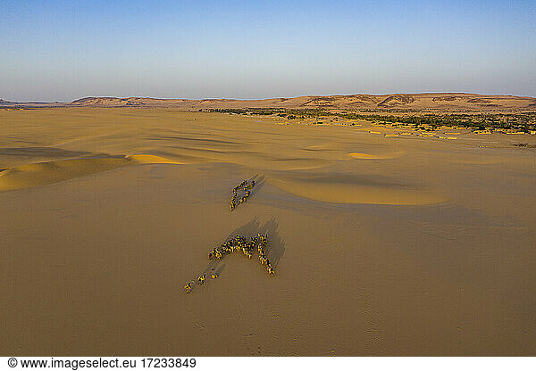 Oase Fachi  Tenere-Wüste  Niger  Westafrika  Afrika
