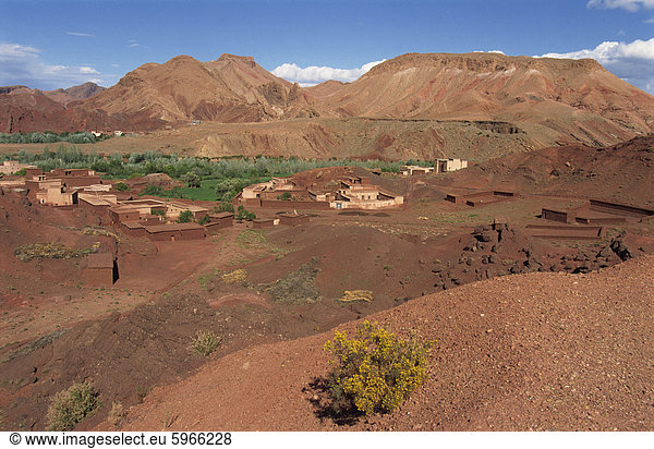 Oase im trockenen Landschaft  Dades-Tal  Marokko  Nordafrika  Afrika