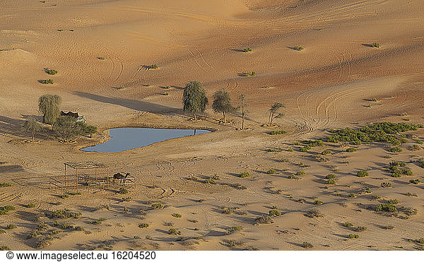 Oase in der Wüste Empty Quarter  zwischen Saudi-Arabien und Abu Dhabi  VAE