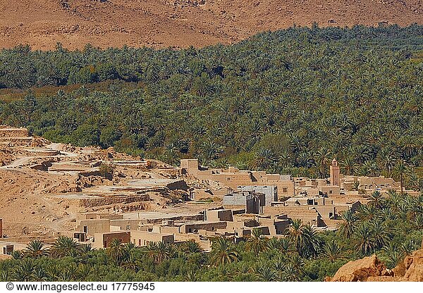 Oase Tafilalet  Oase Tafilalt  Gorges du Ziz  Ziz-Tal  Ziz-Schluchten  Region Tafilalet  Nordafrika  Marokko  Afrika
