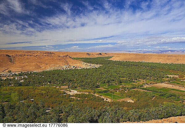 Oase Tafilalet  Oase Tafilalt  Gorges du Ziz  Ziz-Tal  Ziz-Schluchten  Region Tafilalet  Nordafrika  Marokko  Afrika