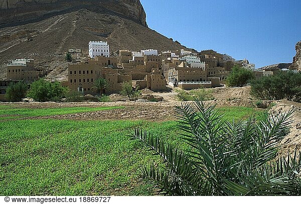 Oase 'Wadi Al Ain'  Jemen  Asien