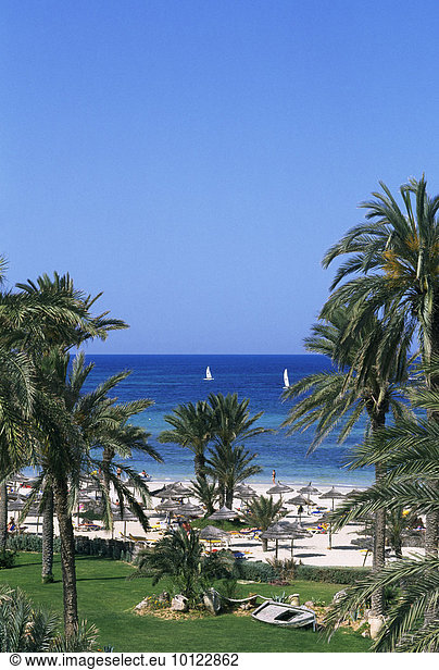 Oase Zarzis Djerba Tunesien Afrika