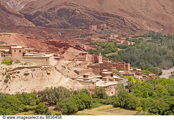 Oasenstadt Tinerhir  Region Souss-Massa-Daraâ  Marokko