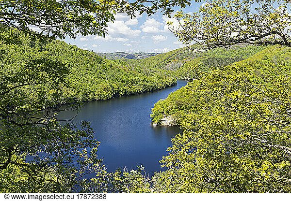 Obersee lake amidst green hills at Eifel National Park  Germany