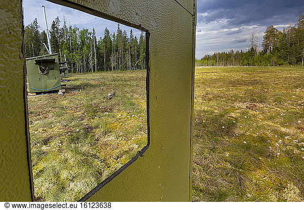 Observatories for the observation and photography of brown bears (Ursus arctos) near a peat bog in Suomussalmi  Finland