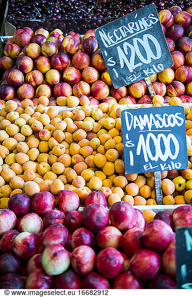 Obst an einem Marktstand in Santiago de Chile