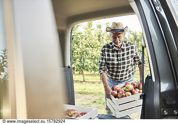 Obstbauern beladen Wagen mit Apfelkisten