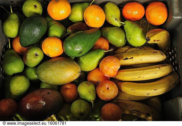 Obstkiste mit verschiedenen Früchten  Tierfutter für den Zoo