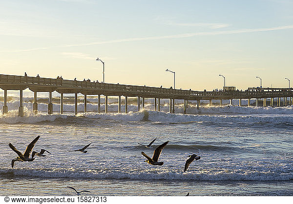 Ocean Beach Pier vor Sonnenuntergang im Winter. San Diego  Kalifornien.